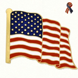 6 Reasons Why Politicians Wear Lapel Pins